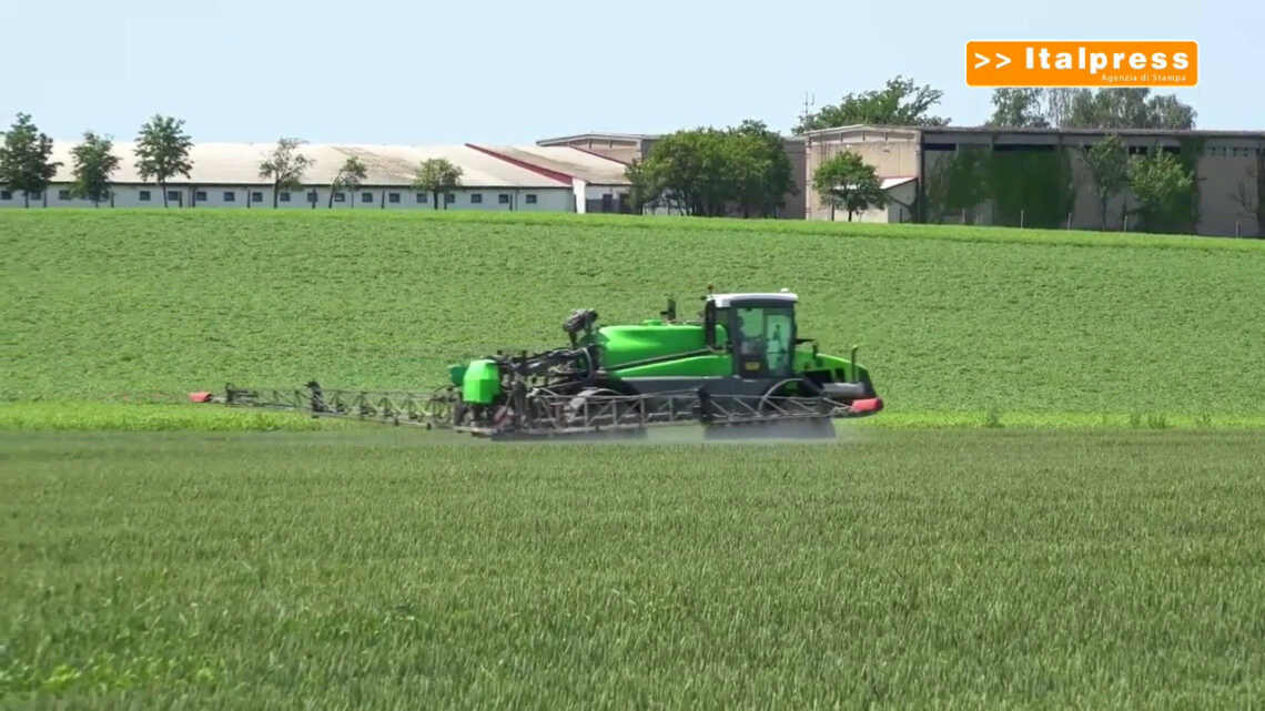 Agricoltura, dal Parlamento Ue via libera alla nuova Pac Agricoltura, dal Parlamento Ue via libera alla nuova Pac