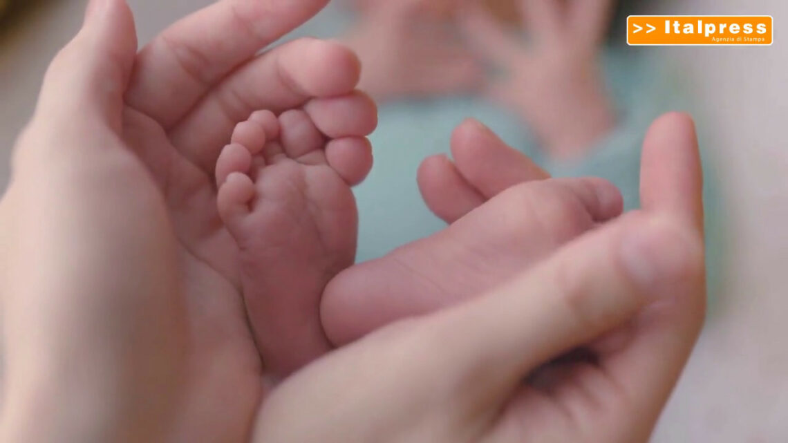 L’alfa-mannosidosi colpisce un neonato ogni 500mila L’alfa-mannosidosi colpisce un neonato ogni 500mila