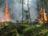 Italia Paese in bilico tra alluvioni e incendi.