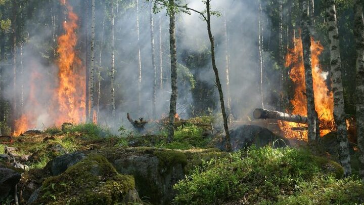 Italia Paese in bilico tra alluvioni e incendi.