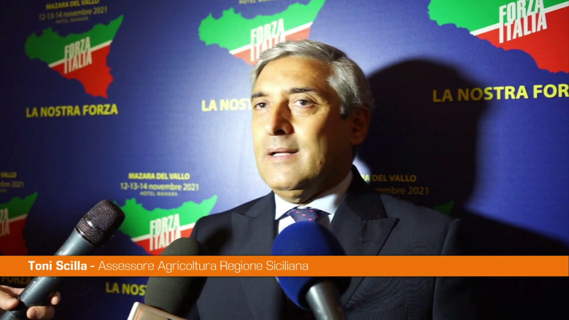 Centrodestra, Scilla: “Non esiste senza Forza Italia” Centrodestra, Scilla: “Non esiste senza Forza Italia”