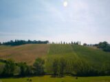 Agriturismo, strutture in aumento anche nel 2020