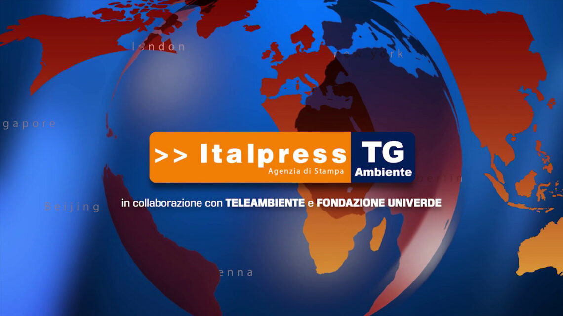 Tg Ambiente – 12/12/2021 Tg Ambiente – 12/12/2021