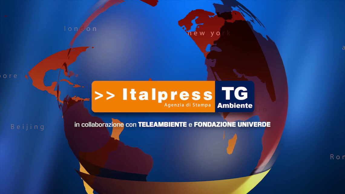 Tg Ambiente – 05/12/2021 Tg Ambiente – 05/12/2021