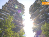 Dal PNRR 330 milioni per il verde delle città
