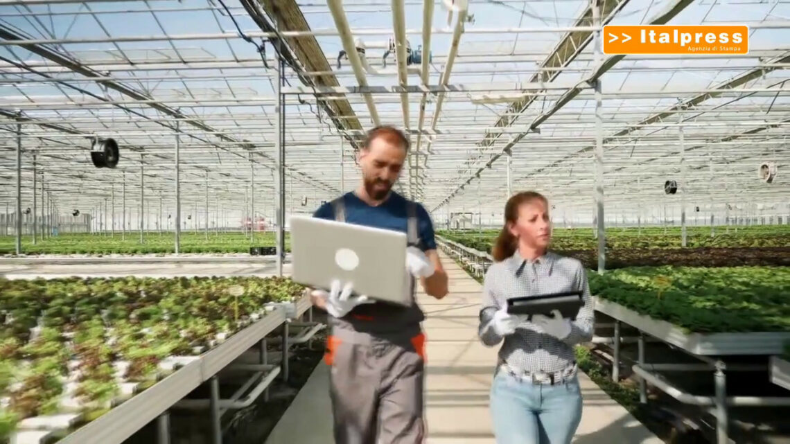 Hubfarm, innovazione per le imprese agricole Hubfarm, innovazione per le imprese agricole