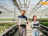 Hubfarm, innovazione per le imprese agricole