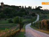 Agriturismi, 2021 in ripresa per il 70% delle aziende