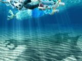Marevivo “Il rinvio della Plastic Tax al 2023 ci sconforta”