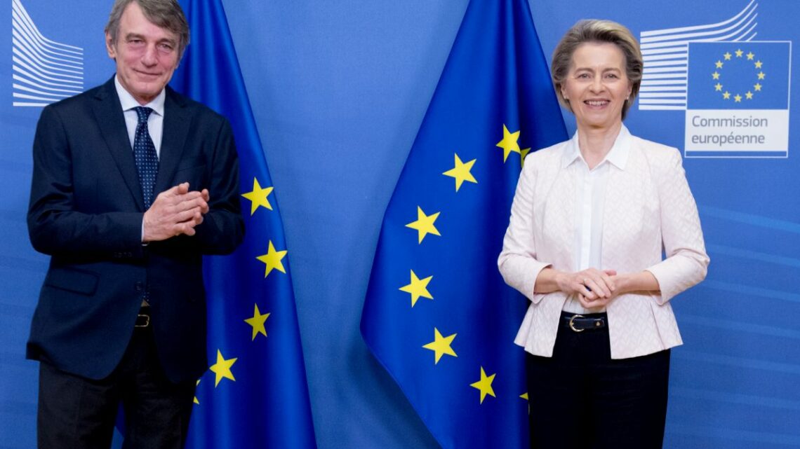 Von der Leyen “Sassoli lottava per la giustizia e la solidarietà” Von der Leyen “Sassoli lottava per la giustizia e la solidarietà”