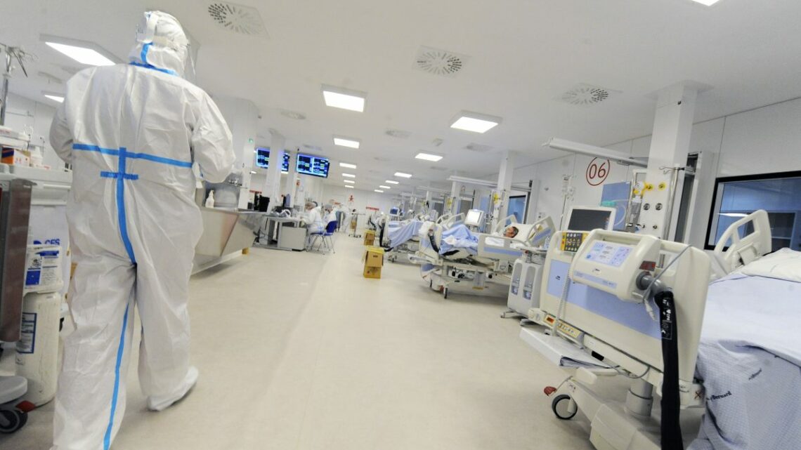 Covid, 228.179 nuovi casi e 434 decessi in 24 ore Covid, 228.179 nuovi casi e 434 decessi in 24 ore