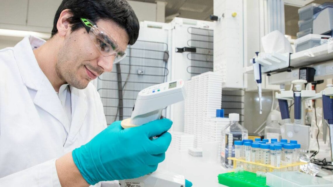 Anemia falciforme, una terapia per prevenire le crisi vaso-occlusive Anemia falciforme, una terapia per prevenire le crisi vaso-occlusive