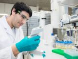 Anemia falciforme, una terapia per prevenire le crisi vaso-occlusive