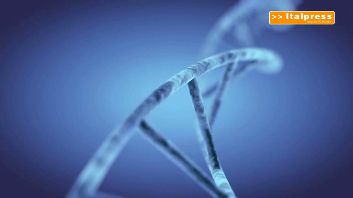 L’editing genomico contro la distrofia miotonica L’editing genomico contro la distrofia miotonica