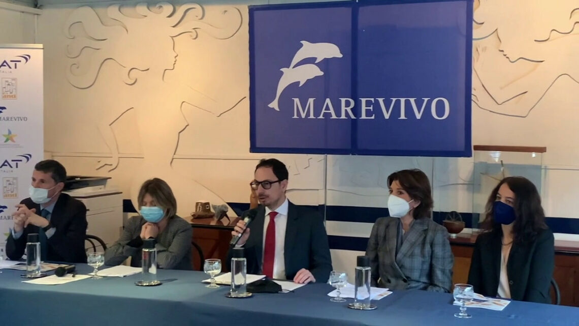 Campagna Bat-Marevivo, -53% mozziconi abbandonati nell’ambiente Campagna Bat-Marevivo, -53% mozziconi abbandonati nell’ambiente