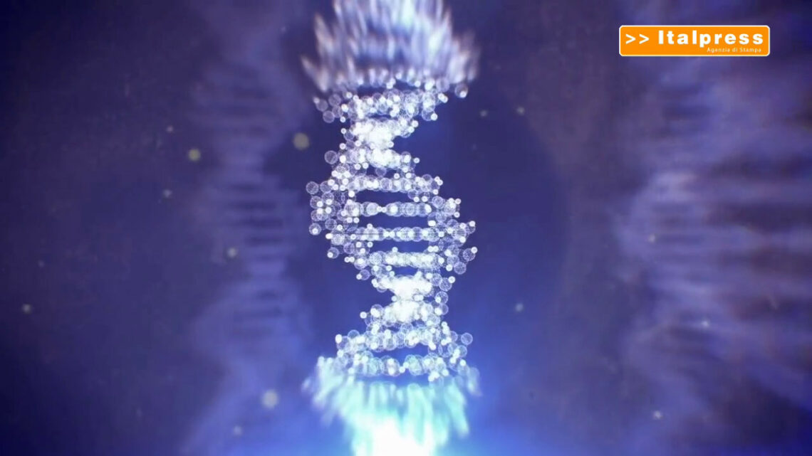 Malattie genetiche, nuove scoperte sul DNA “copia e incolla” Malattie genetiche, nuove scoperte sul DNA “copia e incolla”