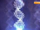 Malattie genetiche, nuove scoperte sul DNA “copia e incolla”