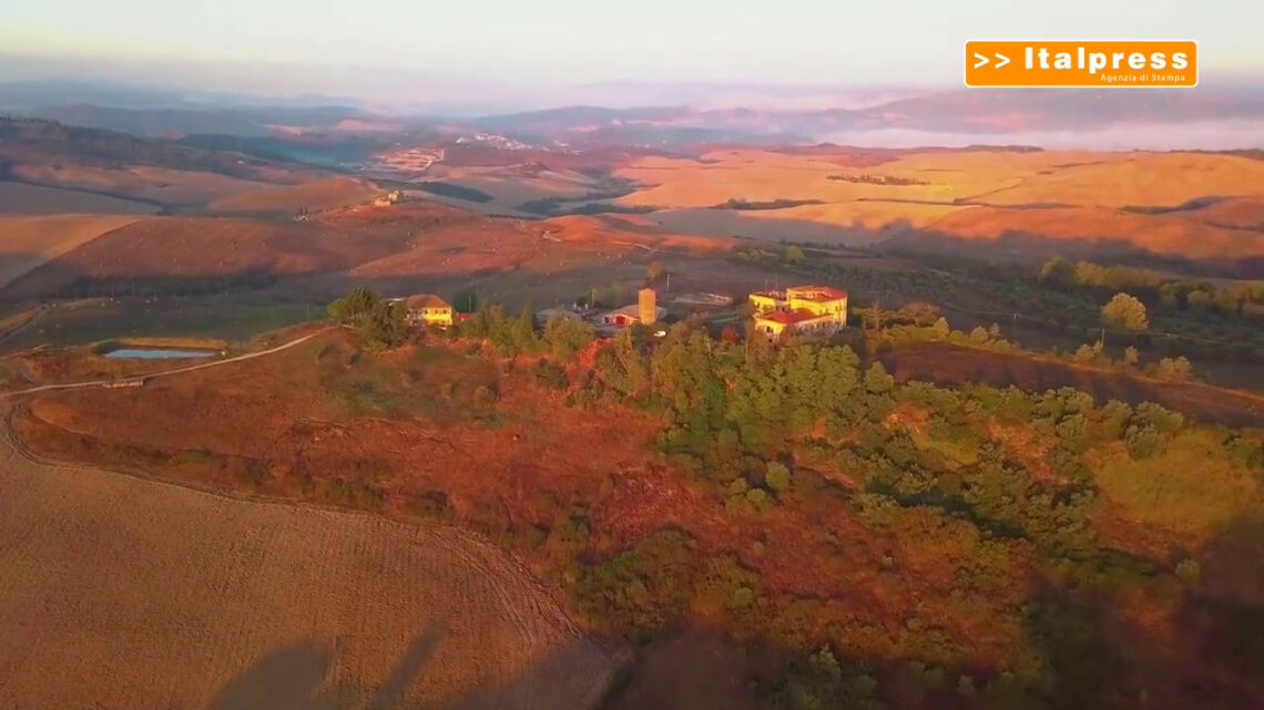 Bioeconomia, sul podio Toscana, Marche e Friuli Bioeconomia, sul podio Toscana, Marche e Friuli