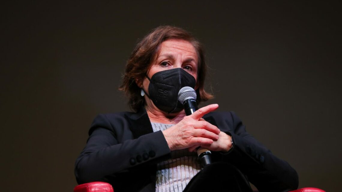 Lamorgese “Alcune manifestazioni infiltrate da chi cerca incidenti” Lamorgese “Alcune manifestazioni infiltrate da chi cerca incidenti”