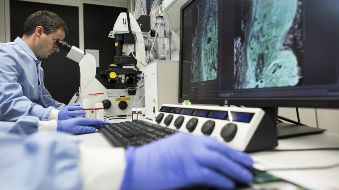 SMA, arriva in Italia il primo farmaco per il trattamento a domicilio SMA, arriva in Italia il primo farmaco per il trattamento a domicilio