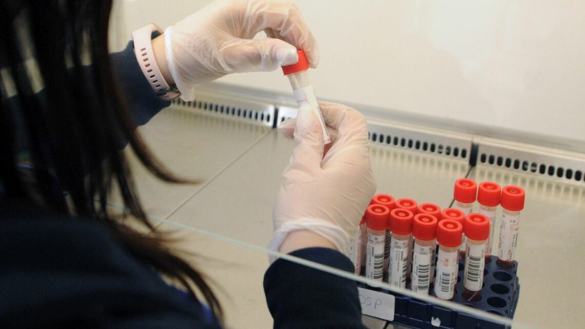 Covid, il 31 gennaio la variante Omicron nel 99,1% dei campioni Covid, il 31 gennaio la variante Omicron nel 99,1% dei campioni