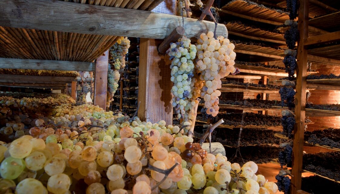 Vin Santo Lovers, Montepulciano celebra il più celebre prodotto toscanooscano Vin Santo Lovers, Montepulciano celebra il più celebre prodotto toscanooscano