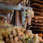 Appassimento Uva Vin Santo