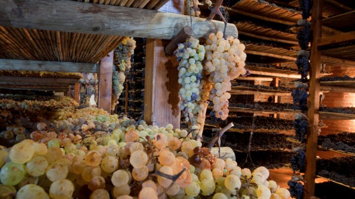 Vin Santo Lovers, Montepulciano celebra il più celebre prodotto toscanooscano