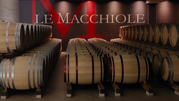 Visita a Le Macchiole di Bolgheri, area vitivinicola tra le più ammirate d’Italia