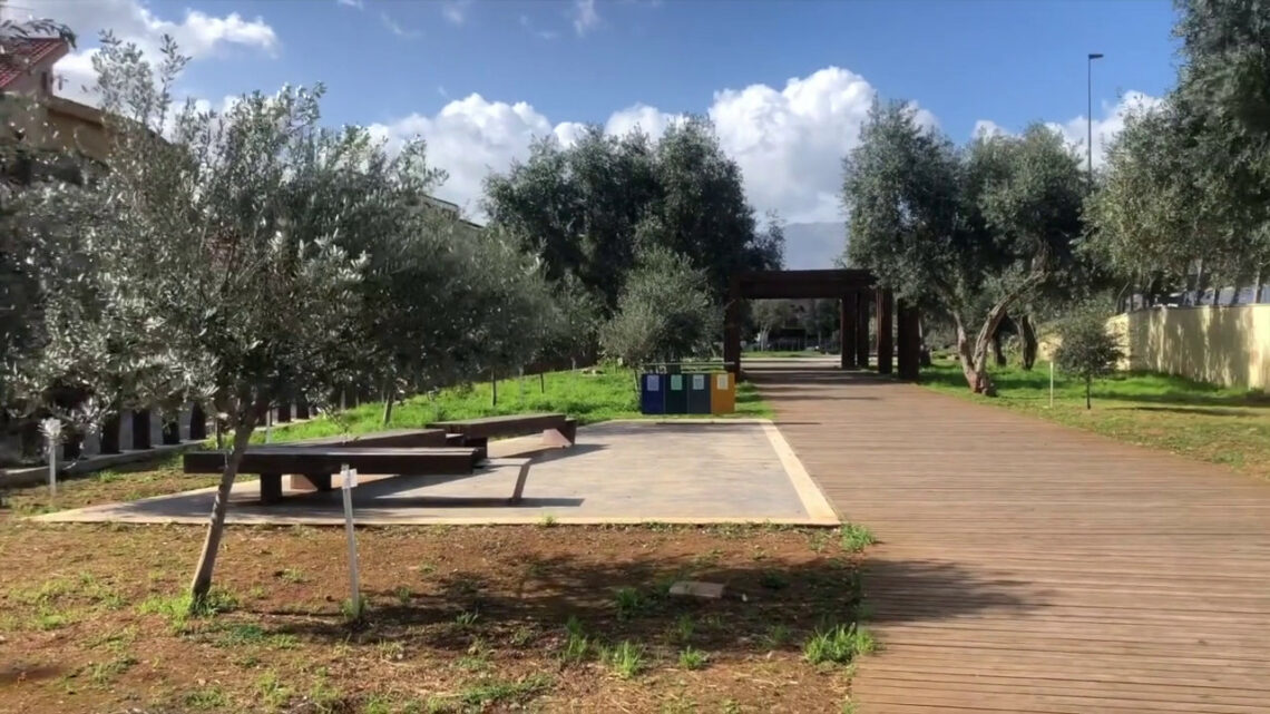 Palermo, dagli ulivi del “Giardino della memoria” nasce l’olio santo Palermo, dagli ulivi del “Giardino della memoria” nasce l’olio santo