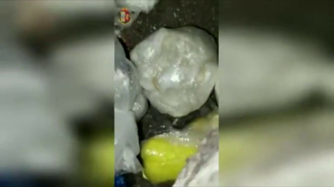 Genova, sequestrati 18 chili di droga Genova, sequestrati 18 chili di droga
