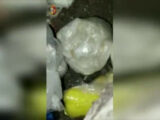 Genova, sequestrati 18 chili di droga