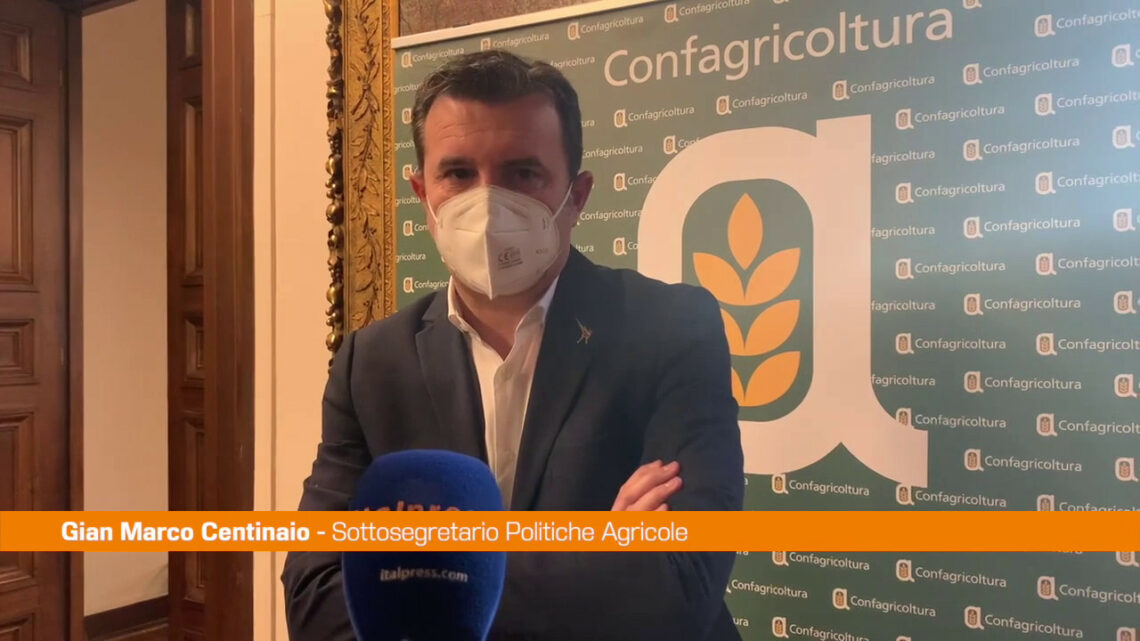 Agroalimentare, Centinaio “L’Italia punti sul grano duro di qualità” Agroalimentare, Centinaio “L’Italia punti sul grano duro di qualità”