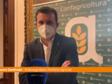Agroalimentare, Centinaio “L’Italia punti sul grano duro di qualità”