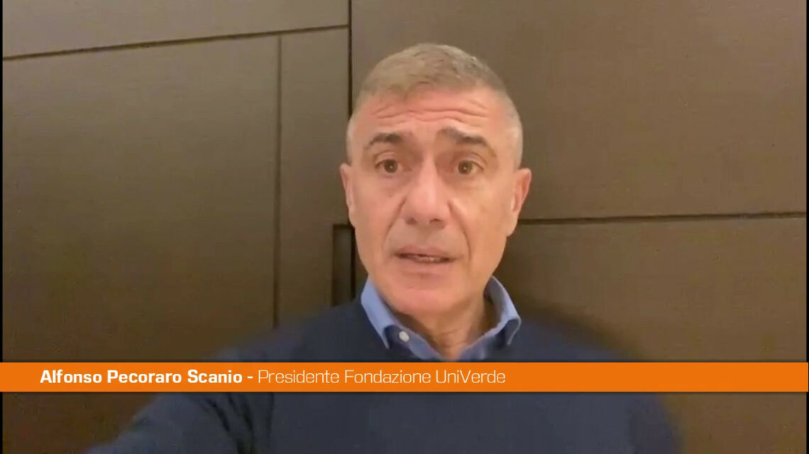 Pecoraro Scanio “Anche Confindustria boccia il governo sul carbone” Pecoraro Scanio “Anche Confindustria boccia il governo sul carbone”