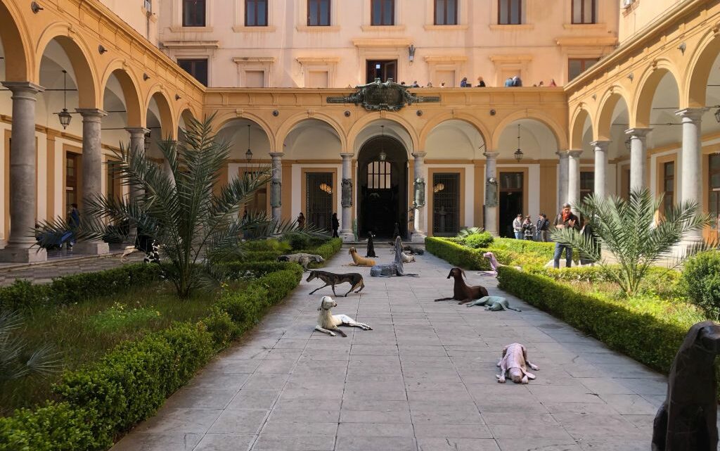 Palermo, il “Branco” di Vitali arriva nella sede di Giurisprudenza Palermo, il “Branco” di Vitali arriva nella sede di Giurisprudenza