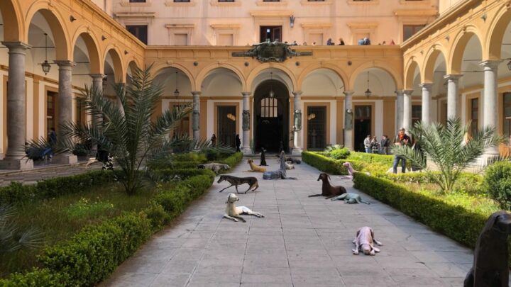 Palermo, il “Branco” di Vitali arriva nella sede di Giurisprudenza