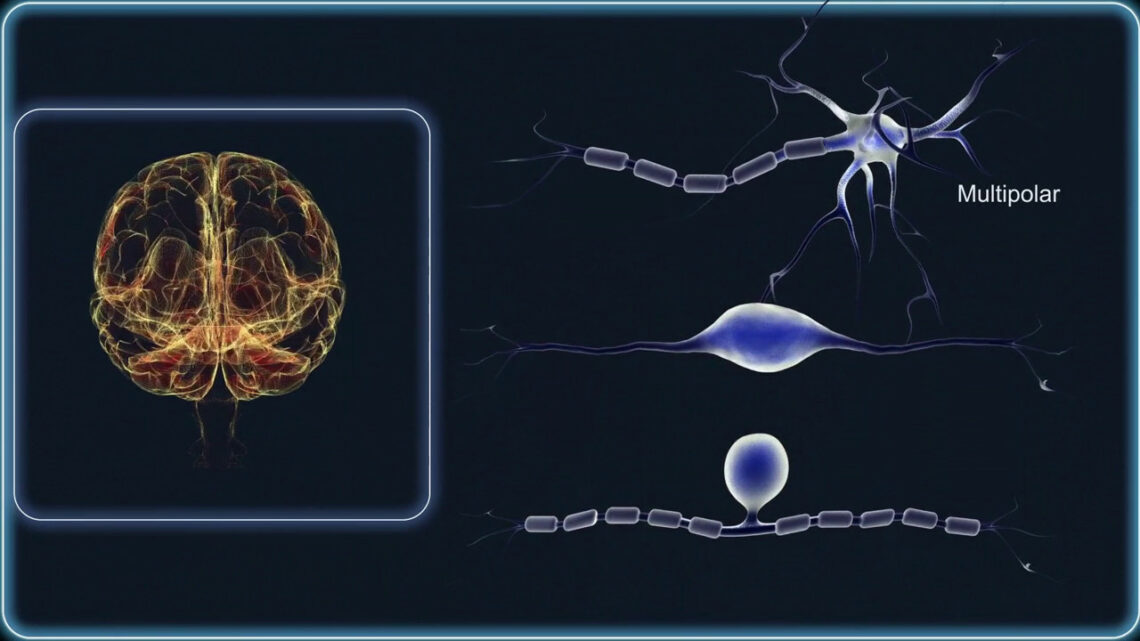 Alzheimer e Parkinson, nuovi metodi diagnostici Alzheimer e Parkinson, nuovi metodi diagnostici