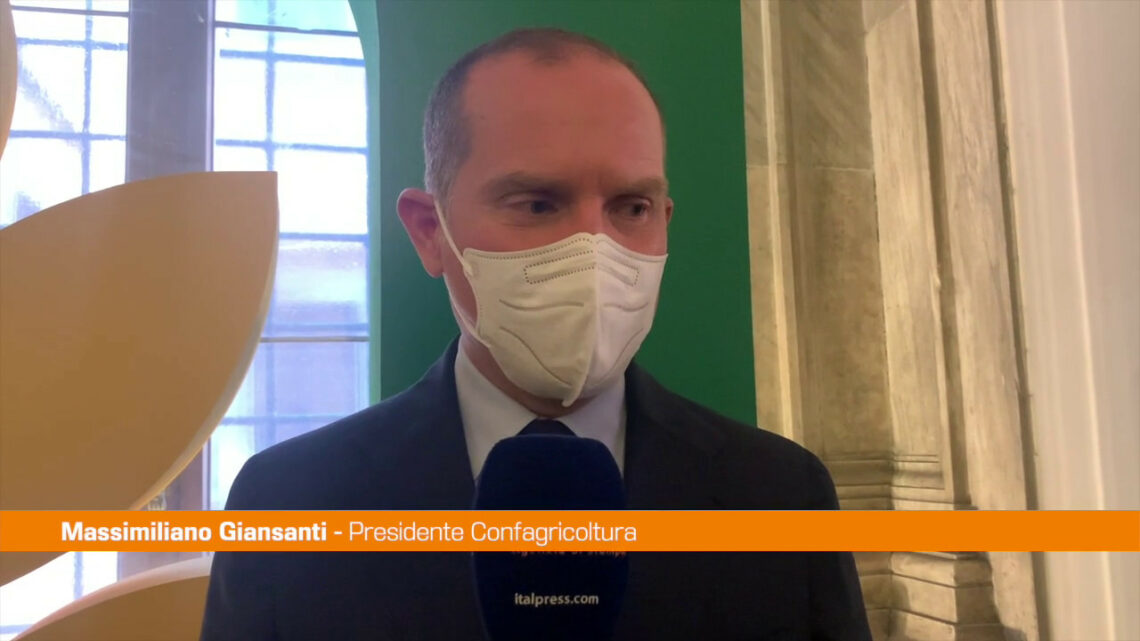 Giansanti “Servono misure emergenziali forti per l’agricoltura” Giansanti “Servono misure emergenziali forti per l’agricoltura”