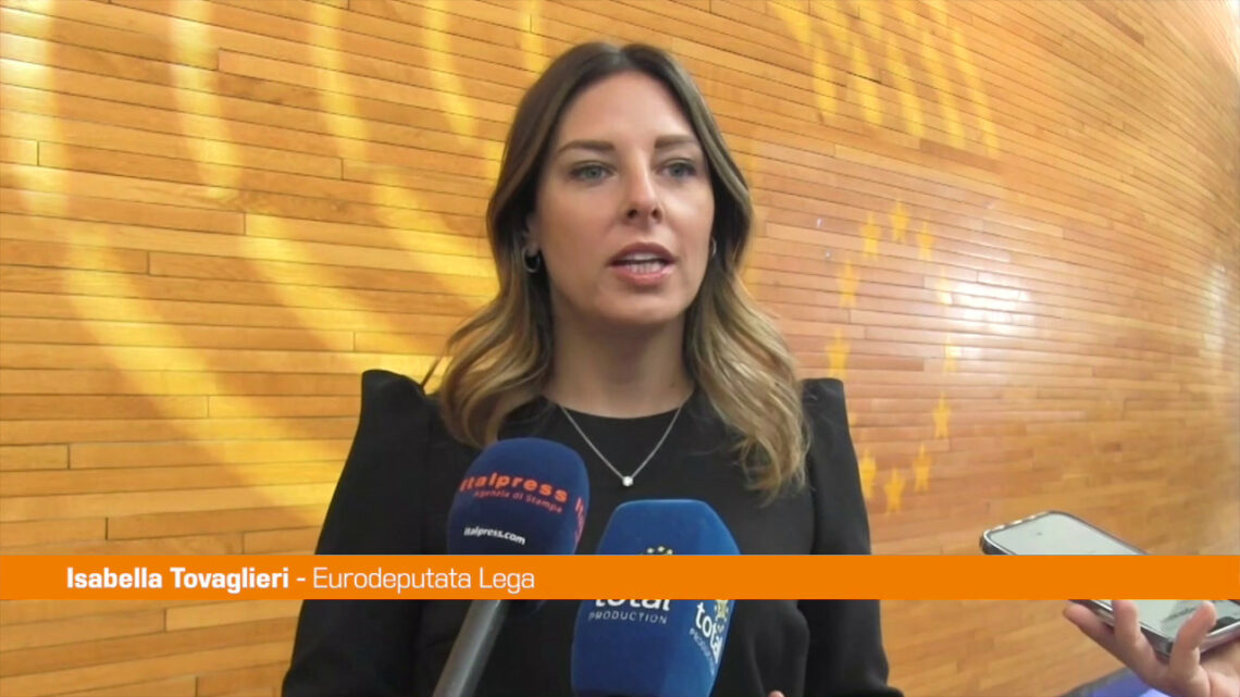 Ue, Tovaglieri “Contro violenza online puntare su educazione digitale” Ue, Tovaglieri “Contro violenza online puntare su educazione digitale”