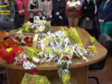 Messina, mimose sequestrate e devolute in beneficenza