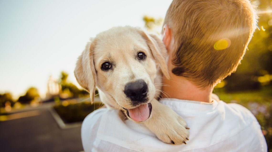 Arriva la polizza sanitaria per cani e padroni di Enci – Mutua Life