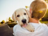 Arriva la polizza sanitaria per cani e padroni di Enci – Mutua Life