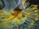 Voyage of Time, il trailer del documentario di Terrence Malick
