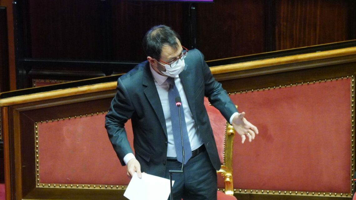 Governo, Patuanelli: “Lealtà significa anche dire cosa non va bene” Governo, Patuanelli: “Lealtà significa anche dire cosa non va bene”