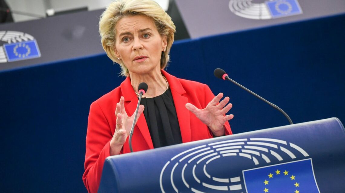 Von der Leyen lancia il quinto pacchetto di sanzioni alla Russia Von der Leyen lancia il quinto pacchetto di sanzioni alla Russia