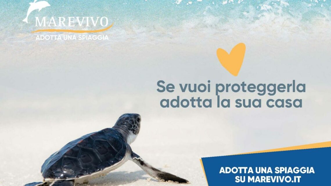 Riparte la campagna nazionale di Marevivo “Adotta una spiaggia” Riparte la campagna nazionale di Marevivo “Adotta una spiaggia”