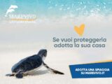 Riparte la campagna nazionale di Marevivo “Adotta una spiaggia”