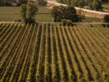 Week-end enogastronomico in Franciacorta