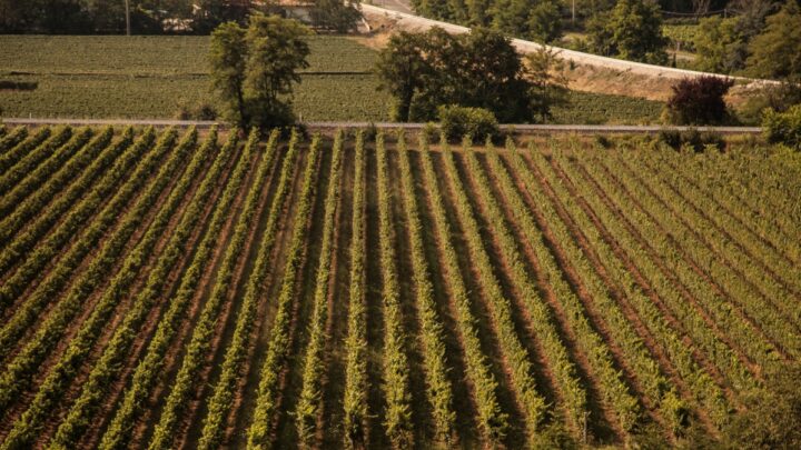 Week-end enogastronomico in Franciacorta